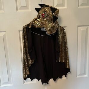 Dragon Dinosaur golden costume cape boys/girls/unisex 4y